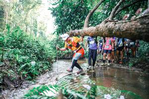 BIB: 
                            <button type="button" onclick="openModal(25472955)" class="btn btn-primary btn-sm float-right btn-popup" data-toggle="modal" data-target=".modal-high-quality">
                        <i class="fas fa-shopping-cart"></i> Add to Cart
                    </button>
                                            <button type="button" onclick="isThisMe(25472955, true)" class="btn btn-success btn-sm float-right btn-popup btn-isme hidden" data-toggle="tooltip" data-placement="bottom" title="นี่คือรูปของคุณใช่ไหม คลิกที่นี่เพื่อเอาเข้าอัลบั้ม">
                        <i class="fas fa-plus"></i> Add to album
                    </button>
                    <button type="button" onclick="isThisMe(25472955, false)" class="btn btn-warning btn-sm float-right btn-popup btn-isnotme hidden">
                        <i class="fas fa-ban"></i> Remove from album
                    </button>